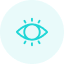 Vision Icon